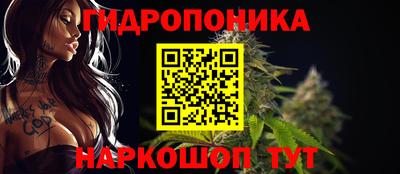 Альфа ПВП Новозыбков