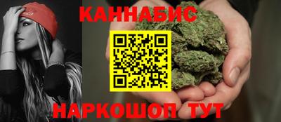 Альфа ПВП Новозыбков