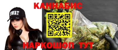 Альфа ПВП Новозыбков