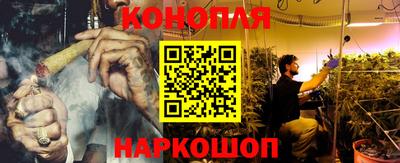 сатива Новодвинск