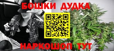 стаф Новокубанск