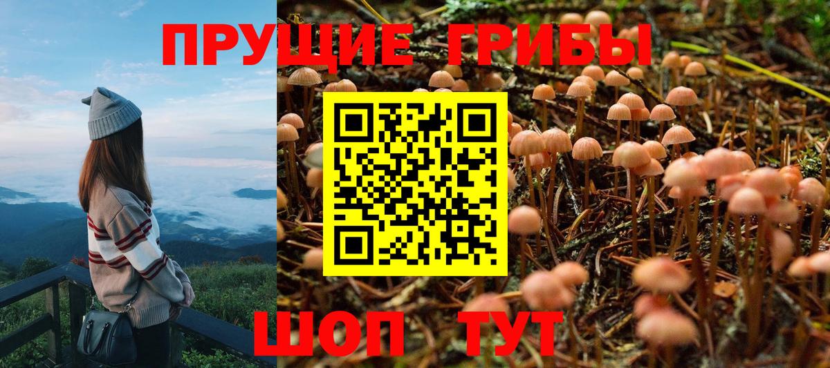Пенза  Галлюциногенные грибы мицелий  Вход с VPN 